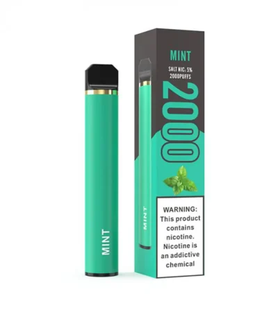 2000 Puffs Disposable Vape E-Cig Cool Mint Flavor 1500mAh