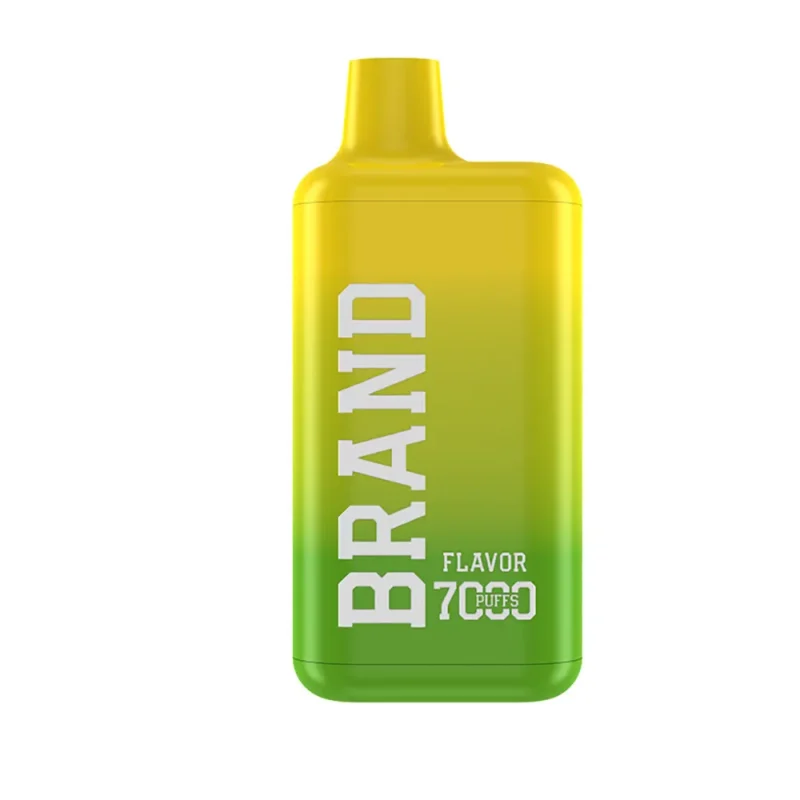 7000 Puffs Mesh Coil Rechargeable Disposable Vape Pod
