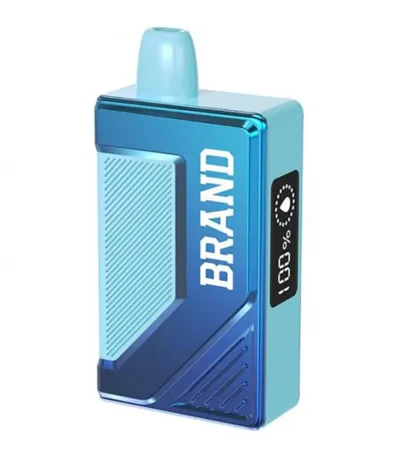 12 ml Smart Box Vape Ecig Device With Screen 5000 Puffs