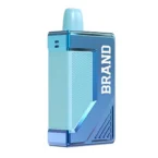 12 ml Smart Box Vape Ecig Device With Screen 5000 Puffs