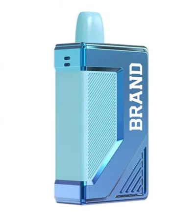 12 ml Smart Box Vape Ecig Device With Screen 5000 Puffs