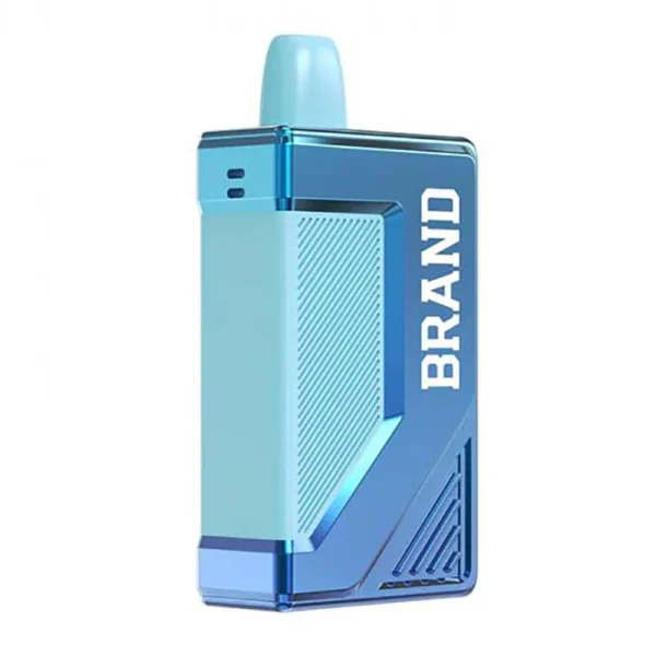 12 ml Smart Box Vape Ecig Device With Screen 5000 Puffs