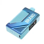 12 ml Smart Box Vape Ecig Device With Screen 5000 Puffs