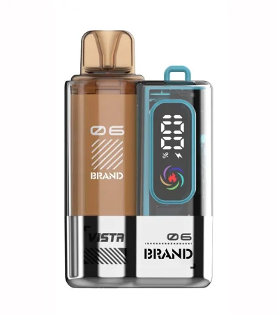 12ml Compact Disposable Vape 850mAh Mesh Coil 0.9Ω Resistance Adjustable Airflow