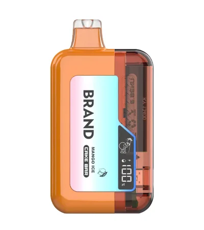 15ml E-Liquid Disposable Vape 550mAh Rechargeable 1.2Ω Mesh Coil 50mg Nicotine