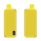 16ml 10000 Puffs 20mg Nicotine Disposable Vape with LED Screen 600mAh Rechargeable​ Battery
