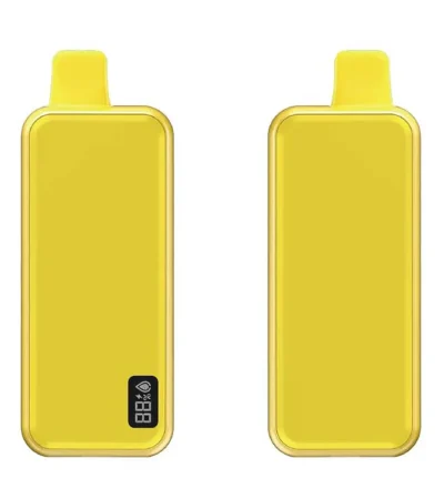 16ml 10000 Puffs 20mg Nicotine Disposable Vape with LED Screen 600mAh Rechargeable​ Battery