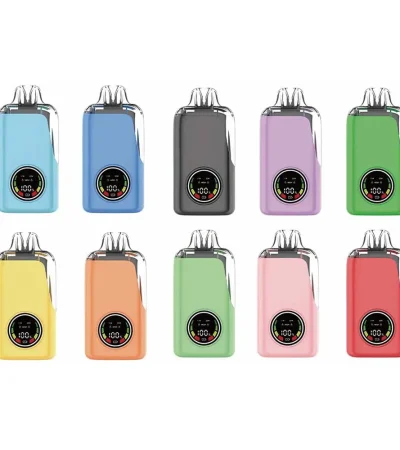 20,000 Puffs Disposable Vape 21ml E-Liquid with LED Display 650mAh Rechargeable