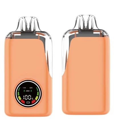 20,000 Puffs Disposable Vape 21ml E-Liquid with LED Display 650mAh Rechargeable