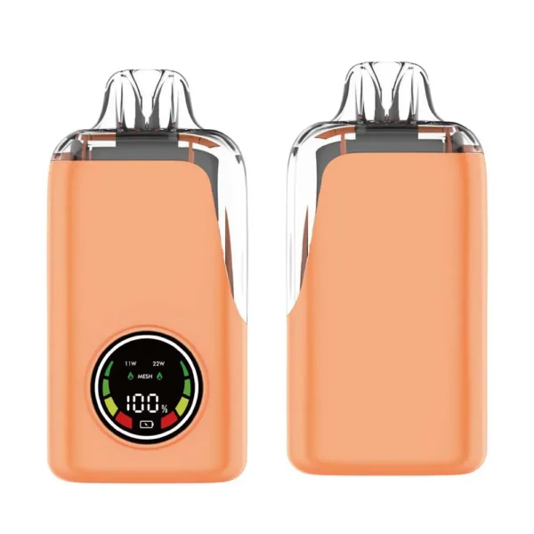 20,000 Puffs Disposable Vape 21ml E-Liquid with LED Display 650mAh Rechargeable