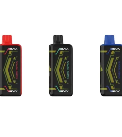 20ml E-liquid Premium Rechargeable Disposable Vape 20000 Puffs 800mAh Dual Mesh Coil with LED Display Screen