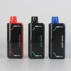 20ml E-liquid Premium Rechargeable Disposable Vape 20000 Puffs 800mAh Dual Mesh Coil with LED Display Screen