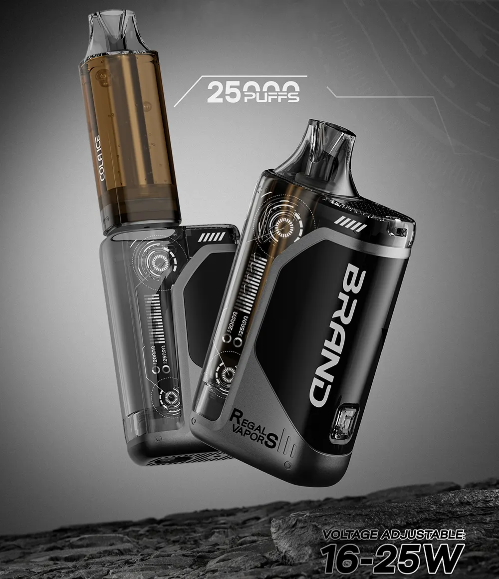High-Capacity 18ml Smart Box Vape Pod Device with Dual Mesh Coil 25W Output and Display