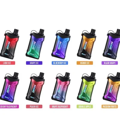 Large Capacity 20ml Prefilled Disposable Vape Dual Mesh Coil 850mAh Rechargeable Color Display