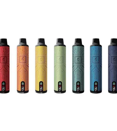 Premium 10000 Puffs Disposable Vape 16ml E-liquid 800mAh Battery LED Screen with Type-C Charging Protection
