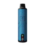 Premium 10000 Puffs Disposable Vape 16ml E-liquid 800mAh Battery LED Screen with Type-C Charging Protection