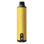 Premium 10000 Puffs Disposable Vape 16ml E-liquid 800mAh Battery LED Screen with Type-C Charging Protection