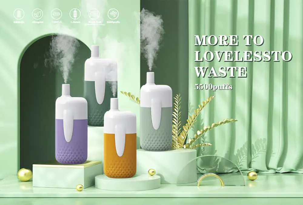 Rechargeable 12ml E-liquid 5500 Puffs Disposable Vape 550mAh with Adjustable Airflow and Charging Protection