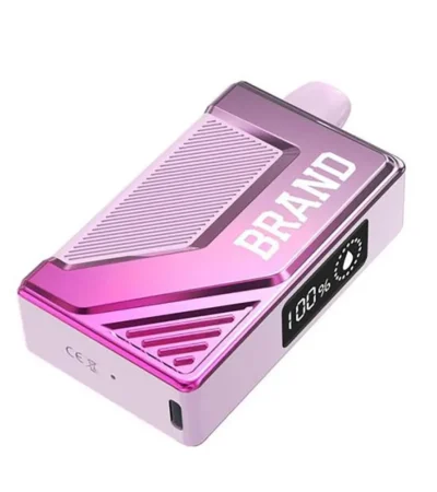 Smart Box Vape Ecig Device With Screen 5000 Puffs 500mAh