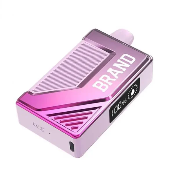 Smart Box Vape Ecig Device With Screen 5000 Puffs 500mAh