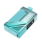 Smart Box Vape Ecig Device With Screen 5000 Puffs 500mAh