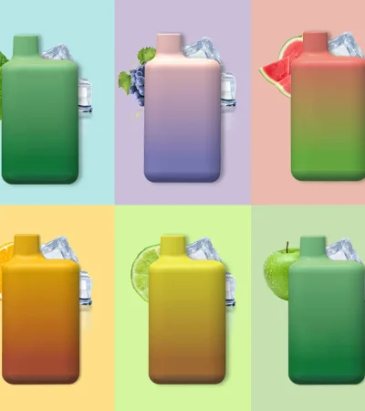 Steel Tube Mesh coil 2.5ml Pre-filled E-liquid Disposable Vape OEM ODM Factory