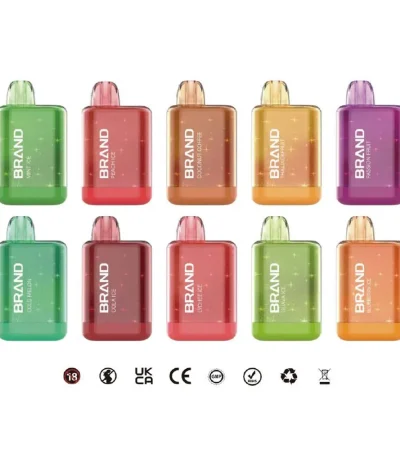 10ml Disposable Vape 10000 Puffs Mesh Coil 550mAh Rechargeable Battery Type-C Charging