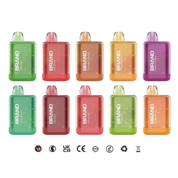 10ml Disposable Vape 10000 Puffs Mesh Coil 550mAh Rechargeable Battery Type-C Charging