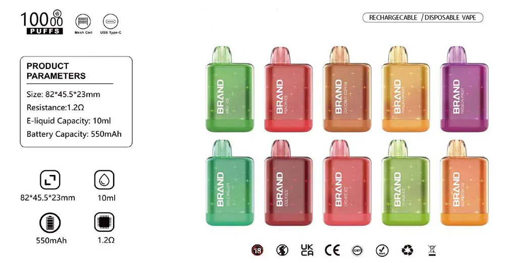 10ML Disposable Vape 10000 Puffs Mesh Coil 550mAh Rechargeable Battery Type-C Charging