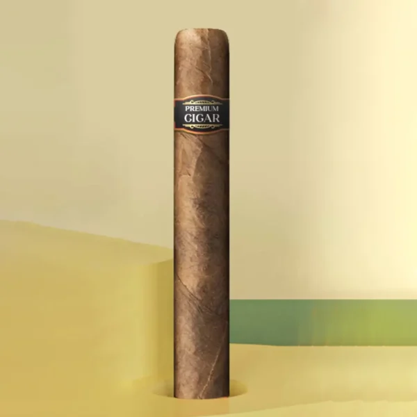 Electronic Cigar Style Disposable Vape 600 Puffs 2ML Capacity 400mAh Battery 1.3Ω Mesh Coil
