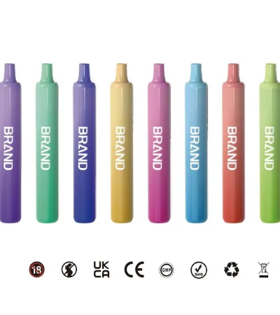 FlavorMax 600 Puffs Compact 2ml Disposable E-Cigarette with 400mAh Rechargeable Battery