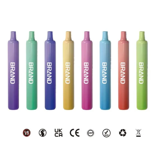 FlavorMax 600 Puffs Compact 2ml Disposable E-Cigarette with 400mAh Rechargeable Battery