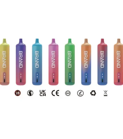 Gradient Color 15ml Prefilled E-liquid Mixed Fruit Disposable E-Cig Vape Device 600mAh Battery