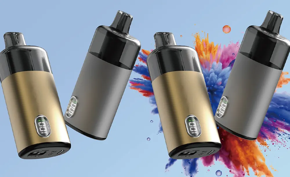 Replaceable Pod Vape 13000 Puffs 2+10ML E-liquid 0.6Ω Mesh Coil 650mAh Rechargeable Battery