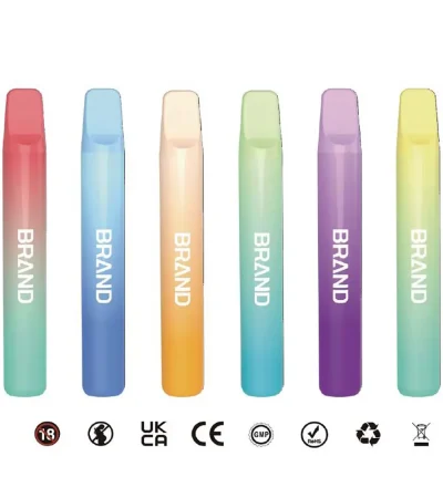 Stylish Mesh Coil Disposable Vape 2ml Prefilled E-liquid 400mAh Rechargeable Battery