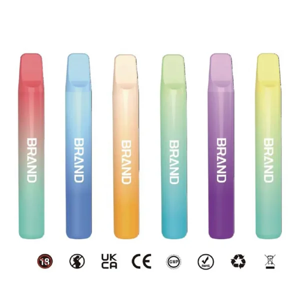 Stylish Mesh Coil Disposable Vape 2ml Prefilled E-liquid 400mAh Rechargeable Battery