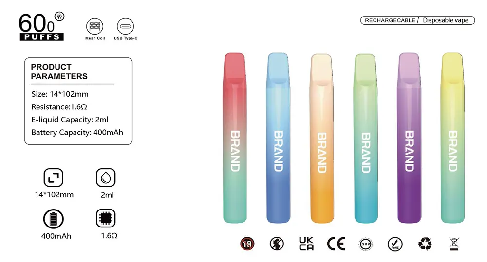 Stylish Mesh Coil Disposable Vape 2ML Prefilled E-liquid 400mAh Rechargeable Battery