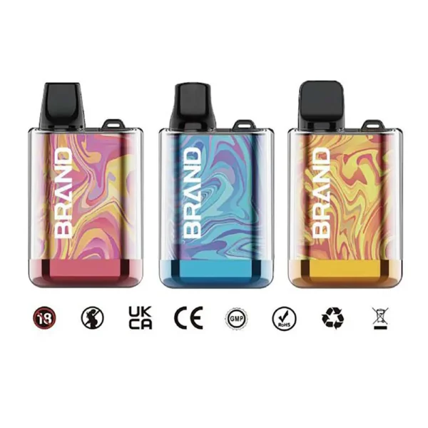 TPD Compliant 2ML Mini Replaceable Pod Vape 800 Puffs 500mAh Rechargeable Battery