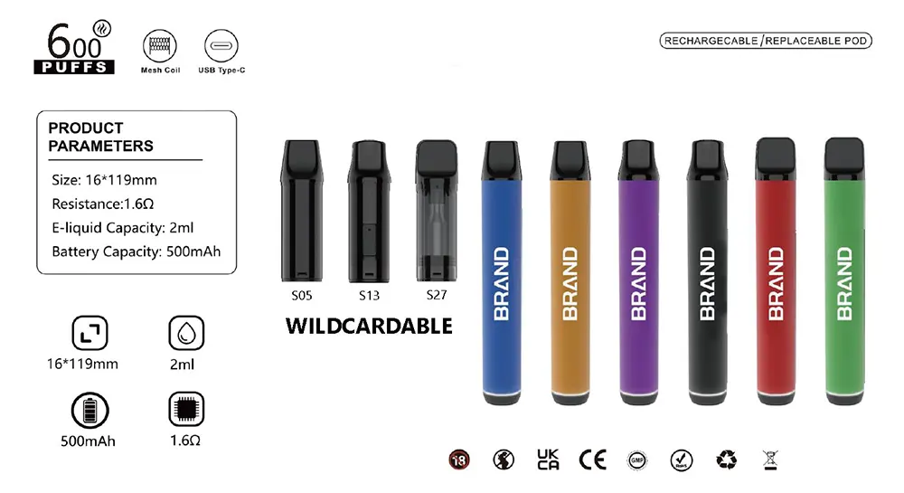 TPD Compliant Replaceable Vape Pod System 600 Puffs 2ML E-liquid 500mAh Battery 1.6Ω Mesh Coil