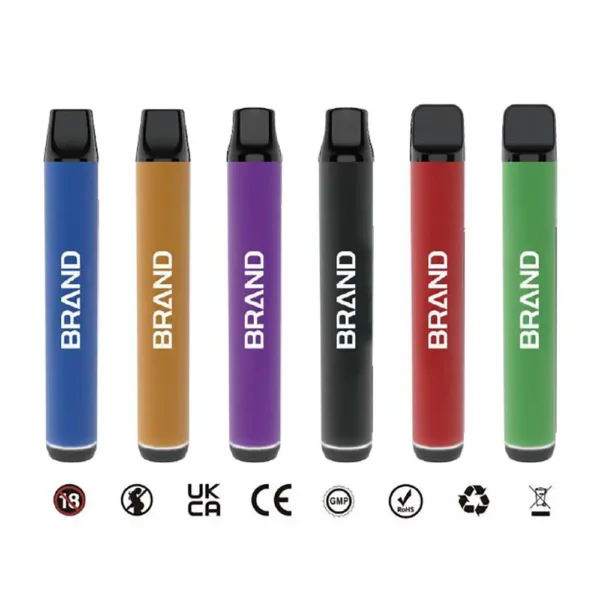 TPD Compliant Replaceable Vape Pod System 600 Puffs 2ml E-liquid 500mAh Battery 1.6Ω Mesh Coil