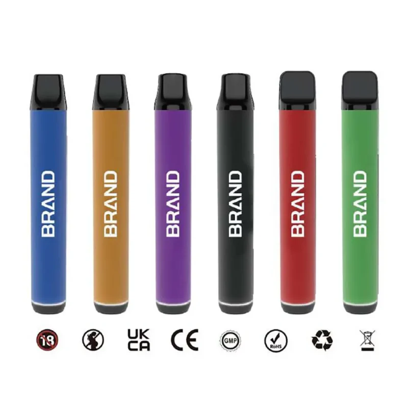TPD Compliant Replaceable Vape Pod System 600 Puffs 2ml E-liquid 500mAh Battery 1.6Ω Mesh Coil