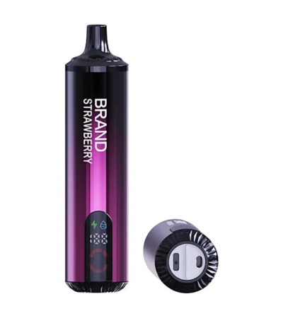 Ultimate 20ml High-Capacity Powerful Dual-Mesh Coil Rechargeable Disposable Vape with Vibrant RGB Glow