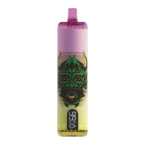 Ultra High-Capacity 22000 Puff Disposable Vape Massive 20ML E-Liquid Rechargeable 650mAh Battery