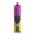 Ultra High-Capacity 22000 Puff Disposable Vape Massive 20ML E-Liquid Rechargeable 650mAh Battery