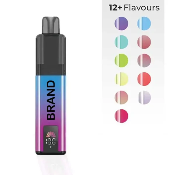 TPD準拠 6000パフ Vape 2+10mL デュアルタンク 850mAhバッテリー 20mgニコチン