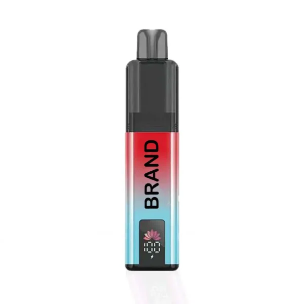 TPD準拠 6000パフ Vape 2+10mL デュアルタンク 850mAhバッテリー 20mgニコチン