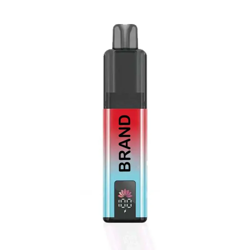 Vaporizador compatible con TPD, 6000 inhalaciones, tanque doble de 2+10 ml, batería de 850 mAh, 20 mg de nicotina