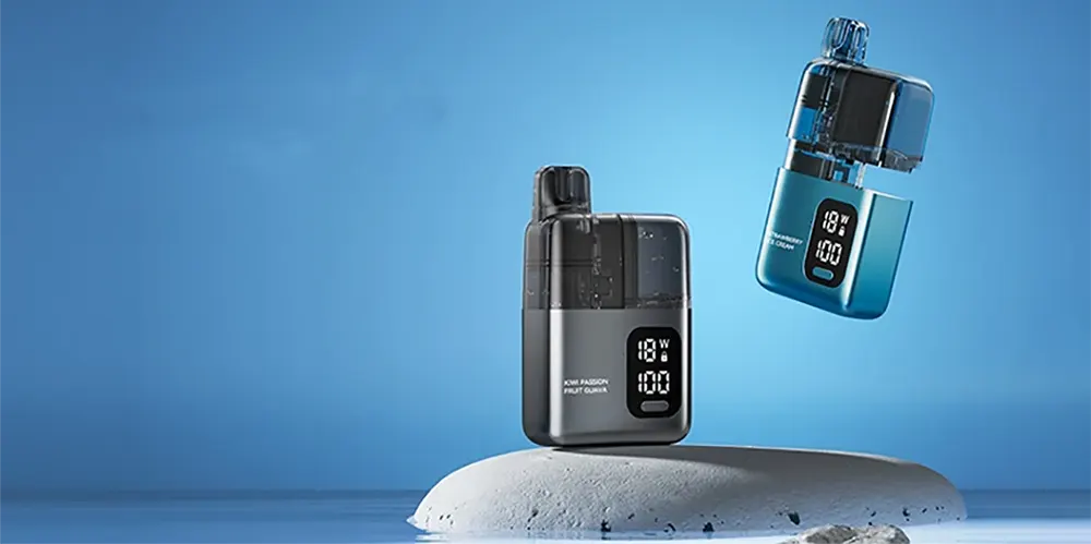 2025年全球最新电子烟法规：关键国家的法律地位