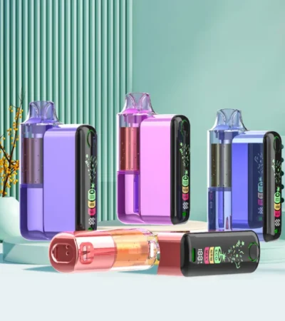 Dual Battery Power Bank Vape Device 18ML 200mAh Pod + 900mAh Charging Case Dual Mesh Coil Smart Screen