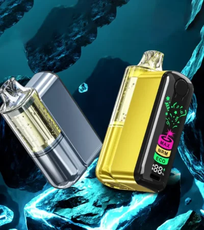 Dual Battery Power Bank Vape Device 18ML 200mAh Pod + 900mAh Charging Case Dual Mesh Coil Smart Screen